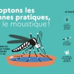 Campagne anti moustique tigre 2