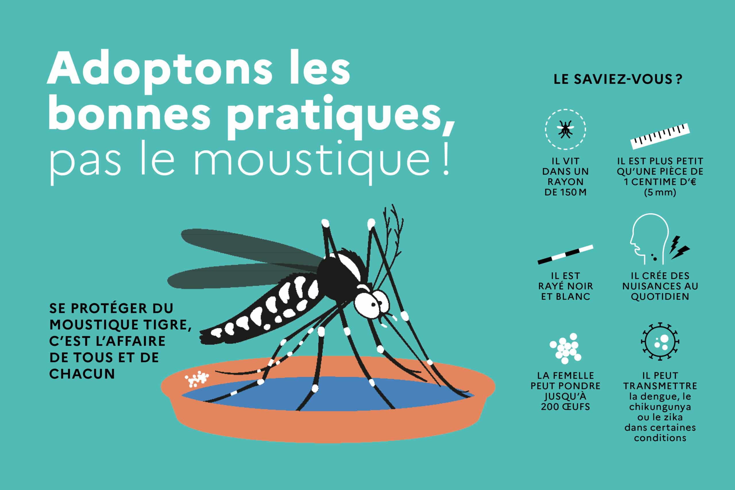 Campagne anti moustique tigre 2